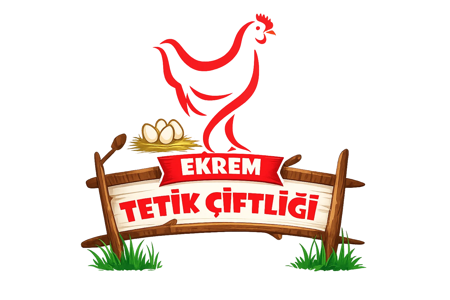 Ekrem Yumurta